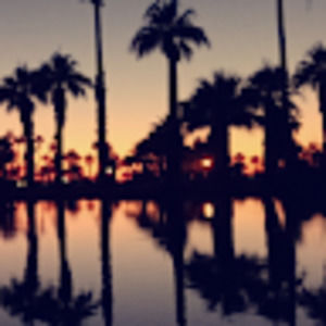 Meet your Posher, Will